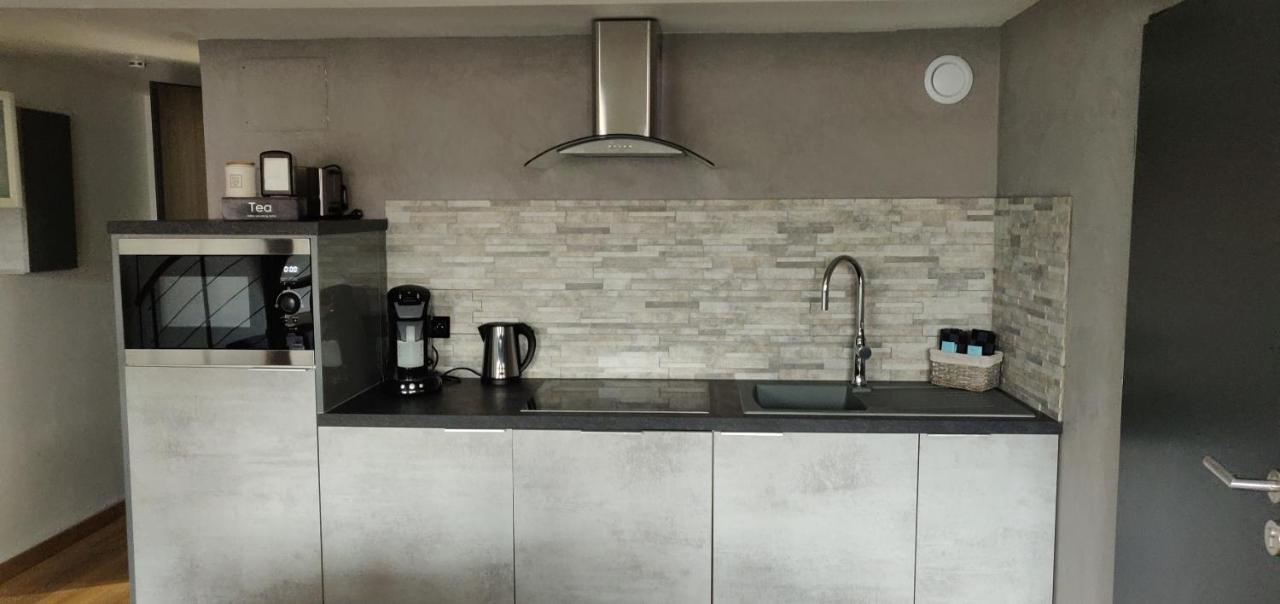 Апартаменты Le Business, Duplex Moderne Special Pro De Passage Саргемин Экстерьер фото