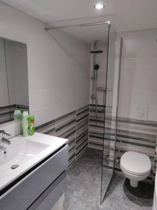 Апартаменты Le Business, Duplex Moderne Special Pro De Passage Саргемин Экстерьер фото